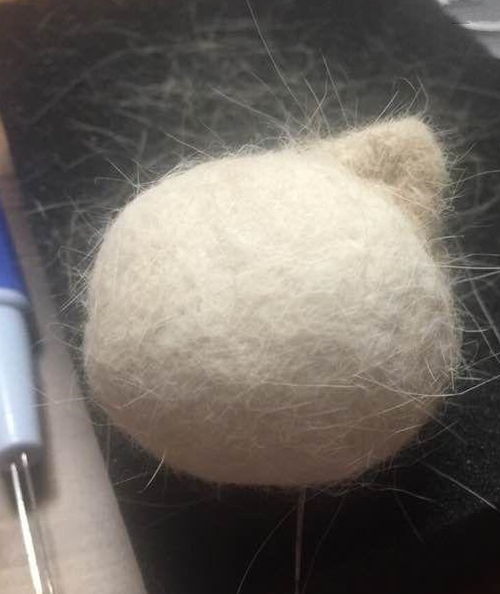 送給愛(ài)貓的親們，親手制作的貓毛氈教程，拿走不謝！